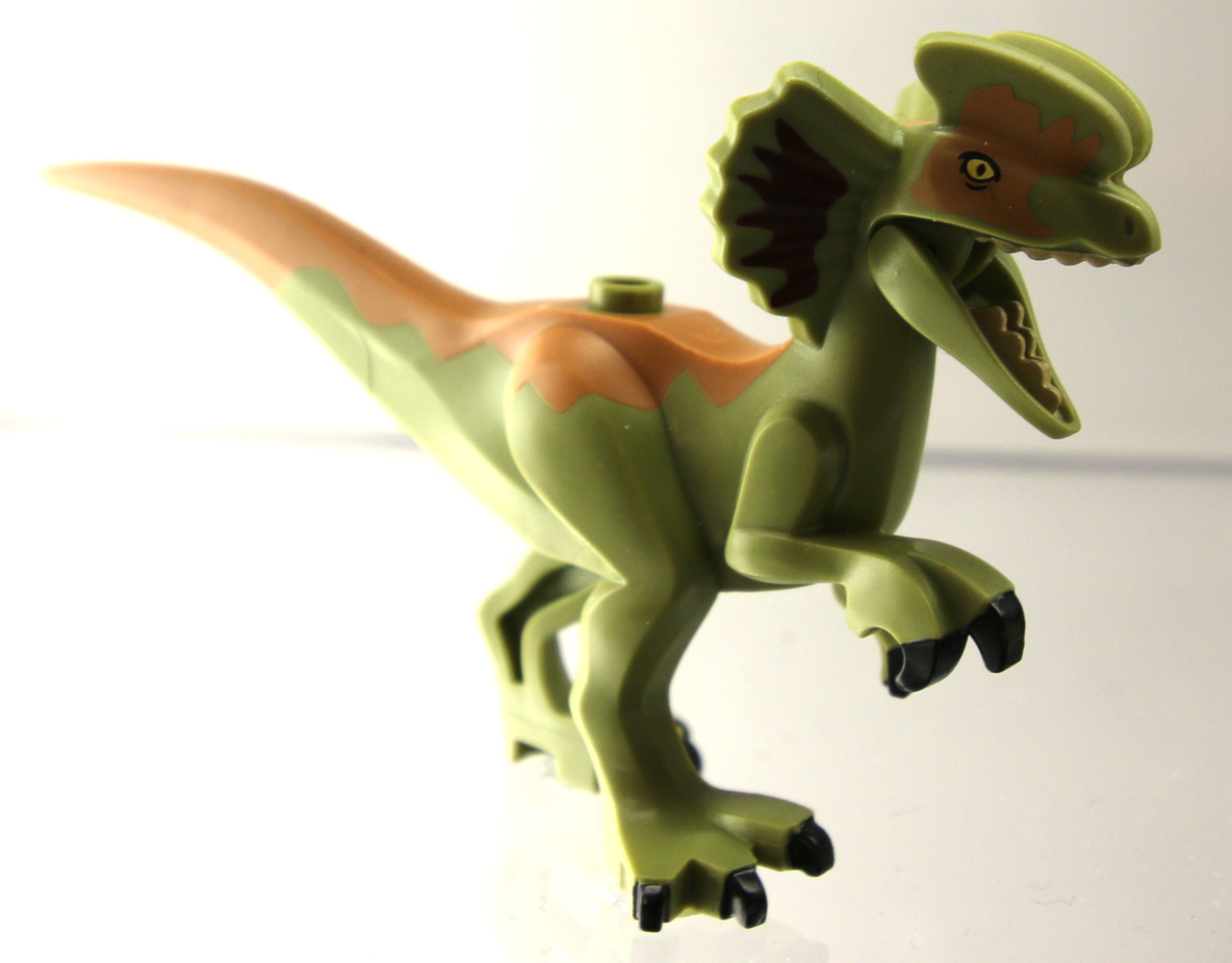 lego-jurassic-world-dilophosaurus-on-the-loose-75932-dino-new-york-toy-fair-2019-zusammengebaut-andres-lehmann zusammengebaut.com