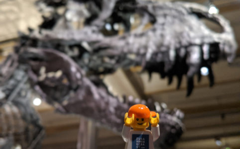 lego-minifiguren-naturkundemuseum-t-rex-berlin-2019-zusammengebaut-andres-lehmann zusammengebaut.com