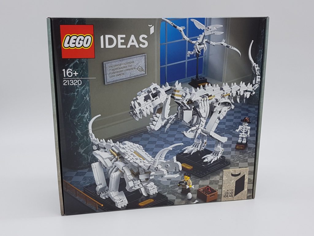  LEGO  Ideas 21320 Dinosaur  Fossils im Review zusammengebaut