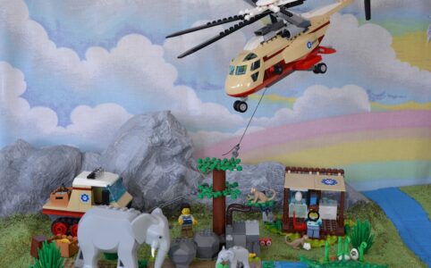 LEGO City 60302 Tierrettungseinsatz