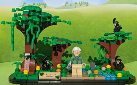 LEGO 40530 Jane Goodall Tribute