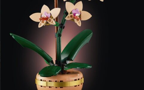 LEGO 10343 Botanicals Mini-Orchidee