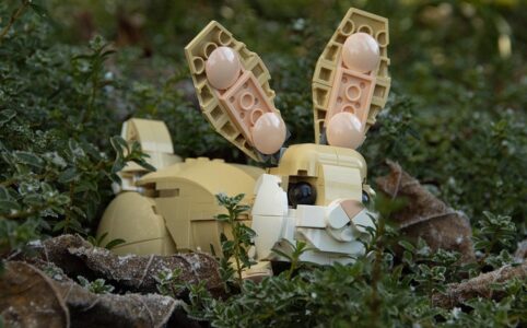 Ist denn schon Ostern?