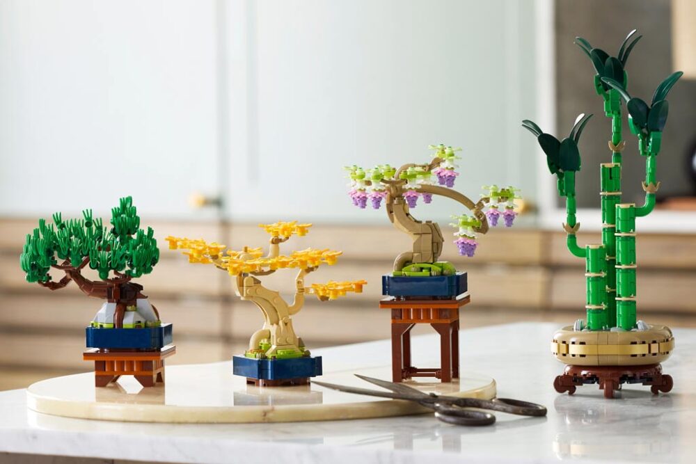 10373 Mini-Bonsai-Bäume