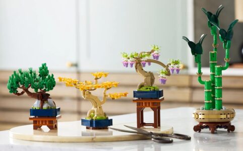 10373 Mini-Bonsai-Bäume