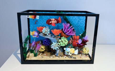 LEGO Icons 10366 Tropisches Aquarium