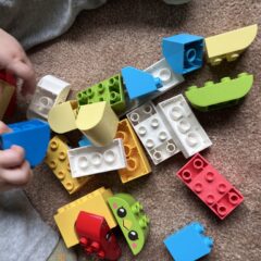 Lose LEGO Duplo-Steine auf dem Teppich liegend, zwei Tiergesichter sind zu erkennen