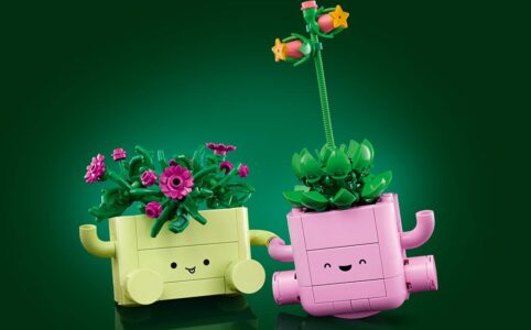 LEGO Botanicals 11506 Rocking Plants