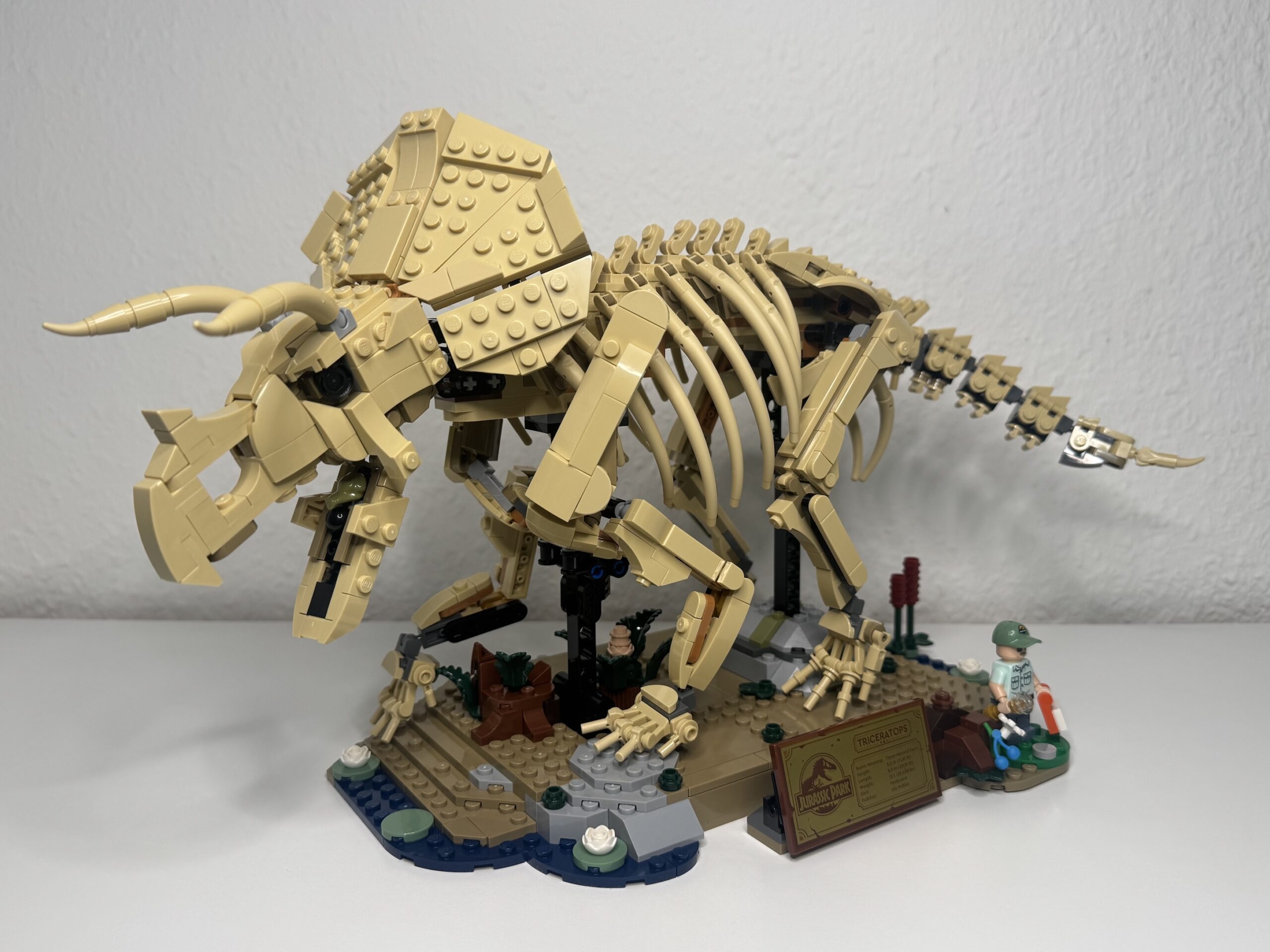 LEGO Jurassic World 77985 Dinosaurier Fossilien: Triceratops | © Max Mohr