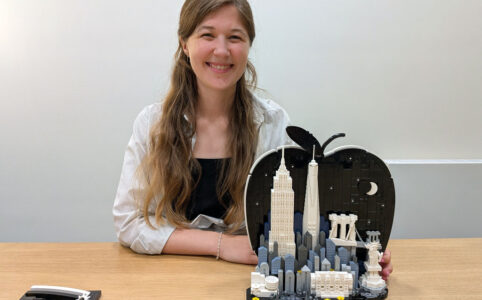 LEGO Architecture 21066 New York City – The Big Apple