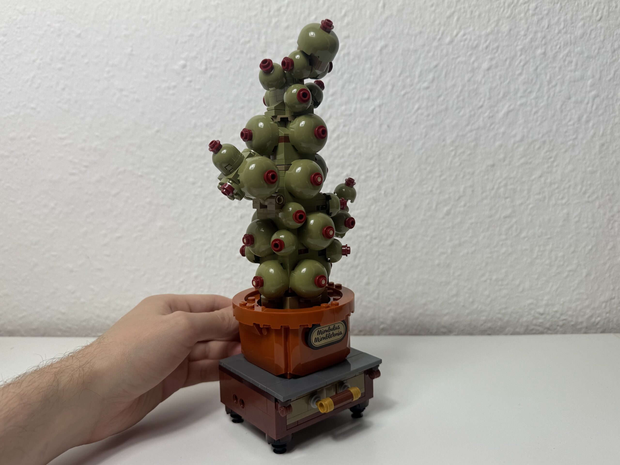 Before image